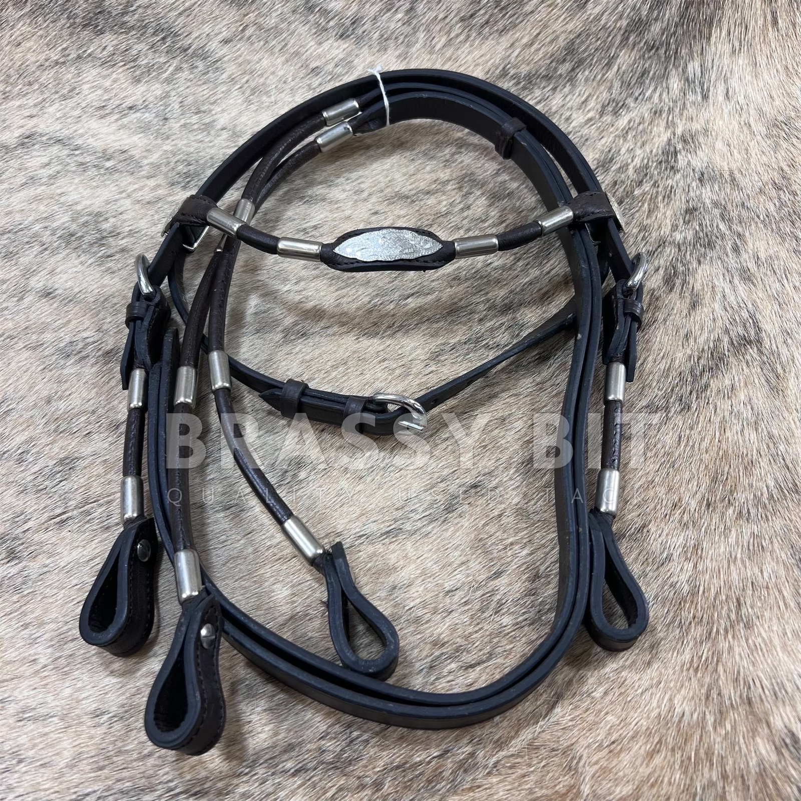 Mini Poco Silver Headstall w/ Reins