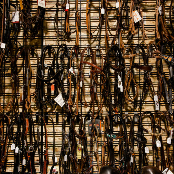 Western Headstalls + Reins