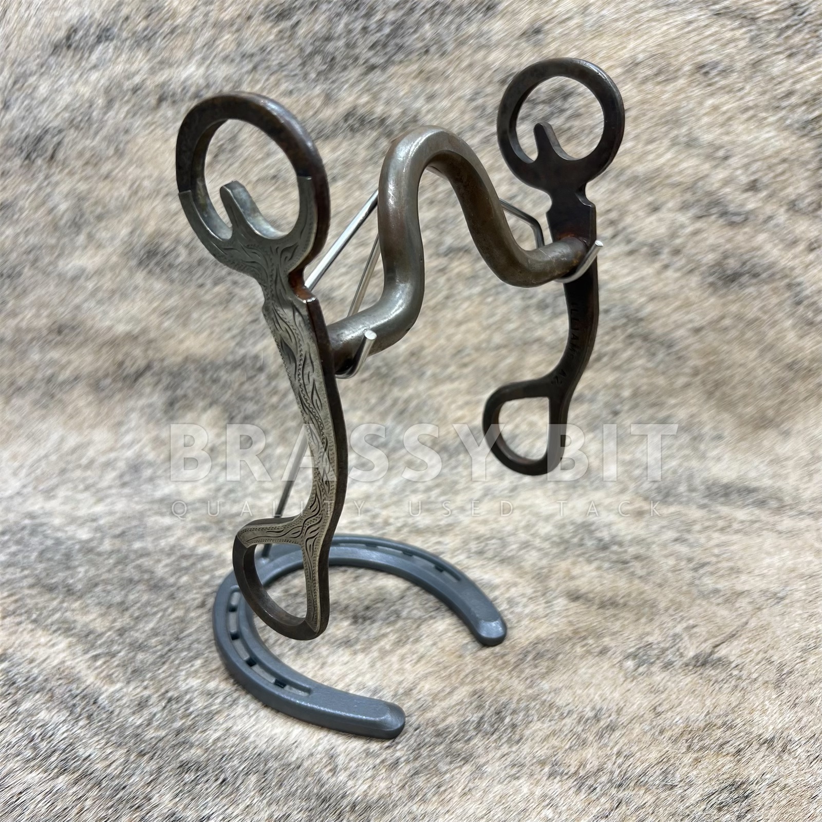 5" Custom Ron Bliss Sterling Silver Curb Bit