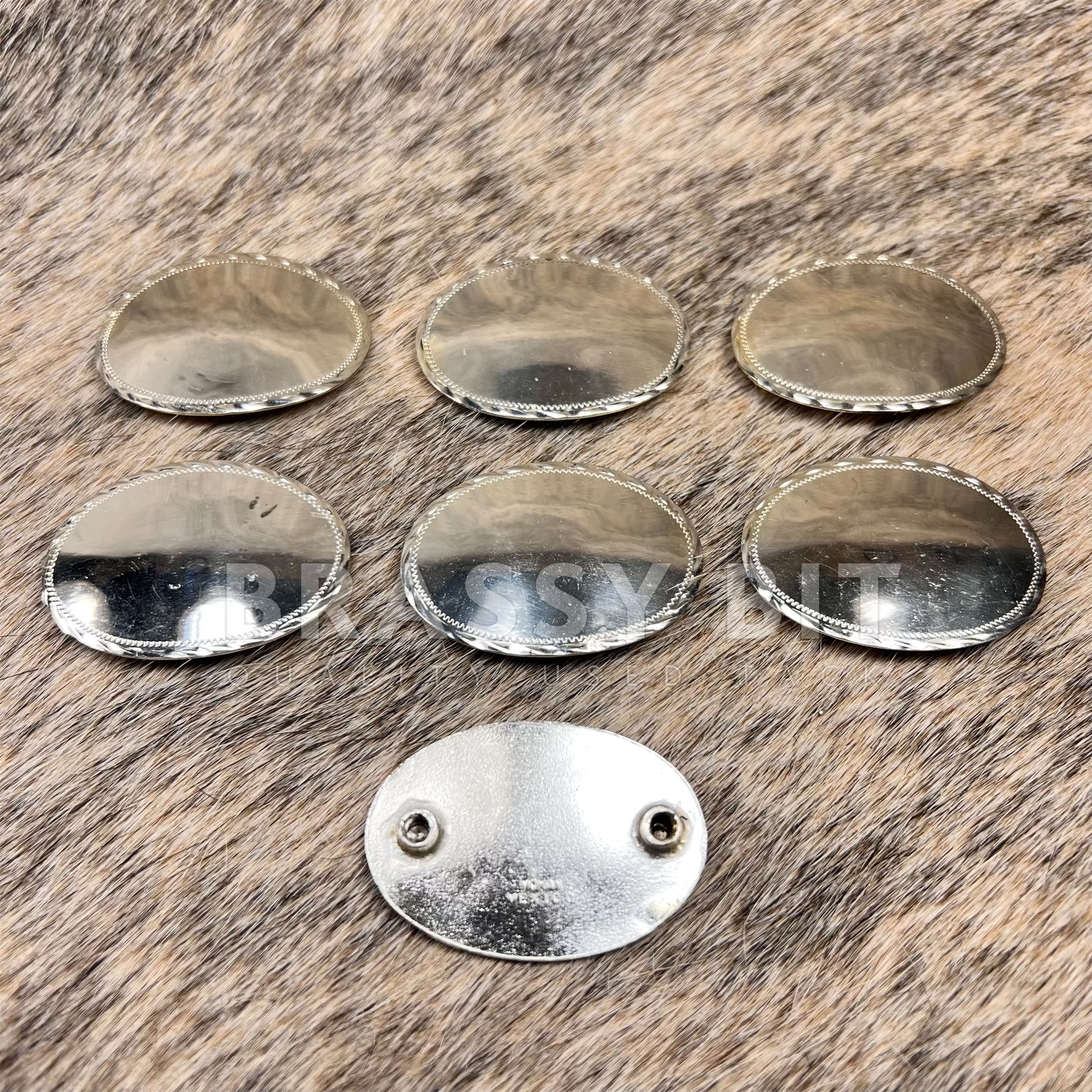 Moran Silver Parade Conchos