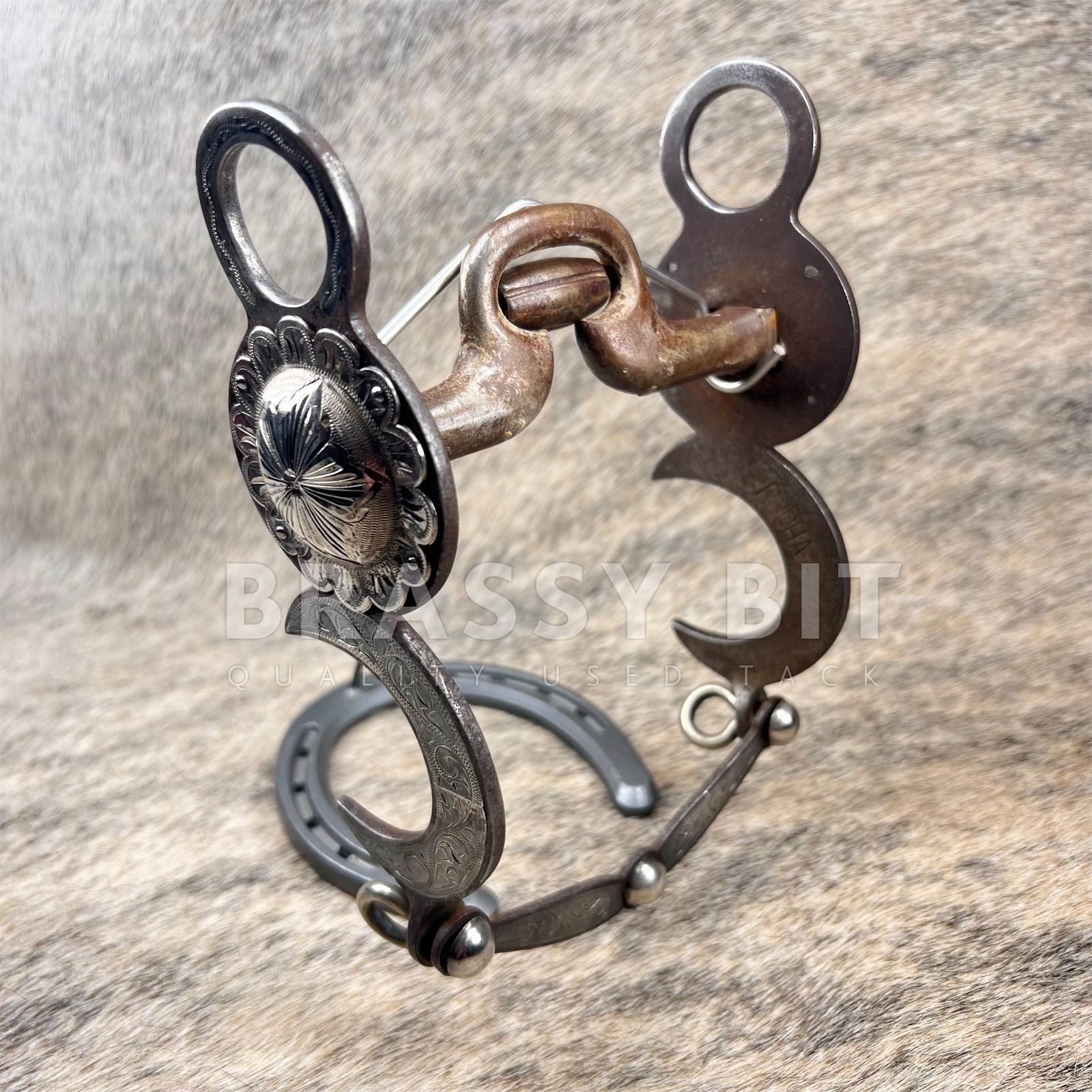 4.75" Rocha Vintage Silver Engraved Frog Port Curb