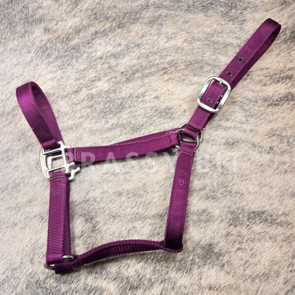 Maroon Horse Halter