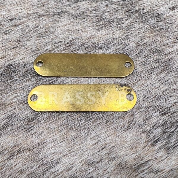 Pair of Halter Tack Brass Plates