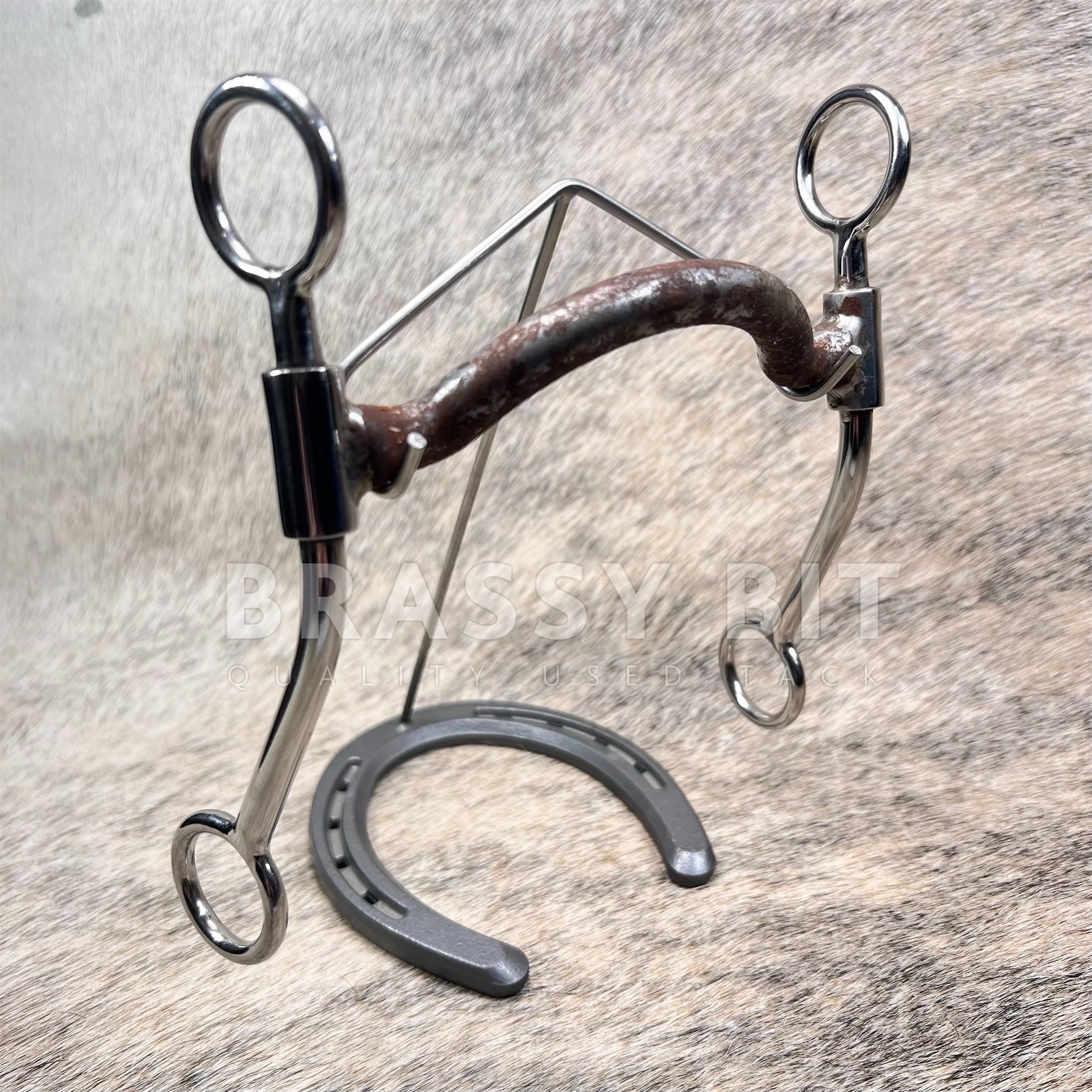 5" Sliester Custom Made Sweet Iron Colt Bit