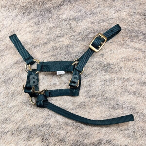 Mini Pony Halter