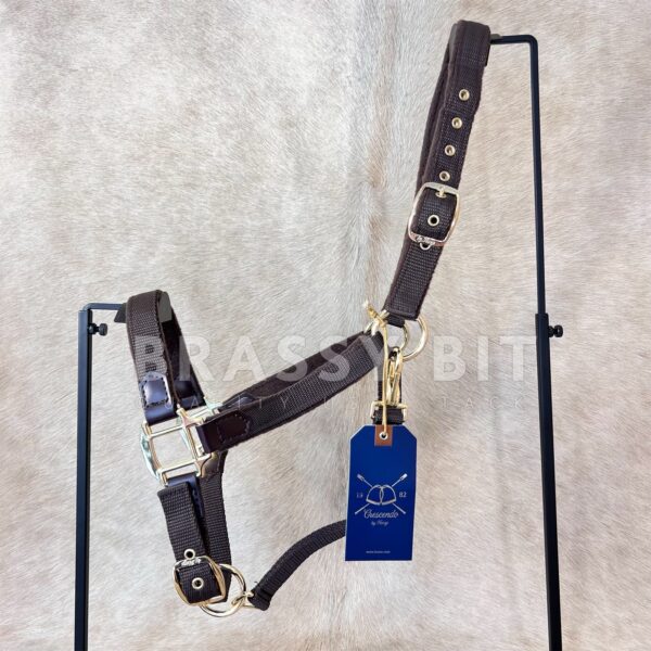 F/S Horze Crescendo Holbrook Padded Halter