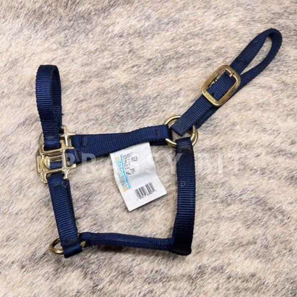 Stockman's Pony/Yearling Halter