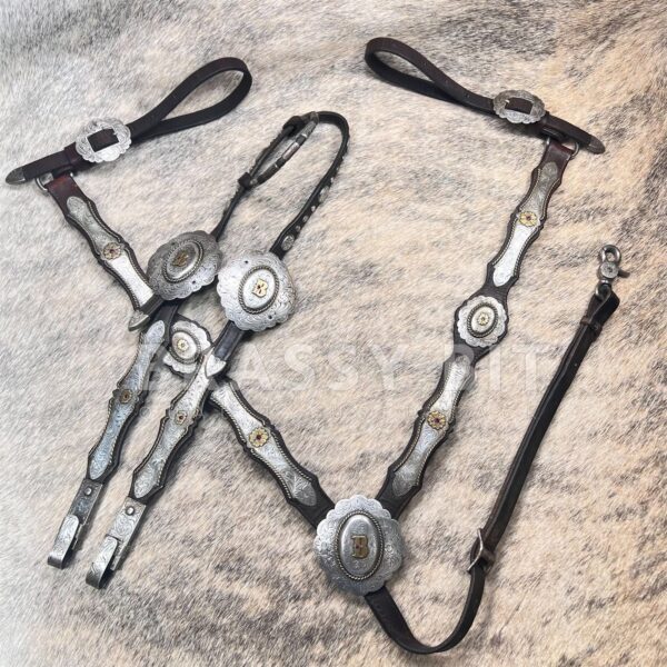 Western Tack Sets