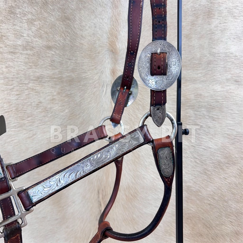 Licola De Présentation Circle Y Silver Show - Taille Cheval - Cuir Dark Oil - Occasion