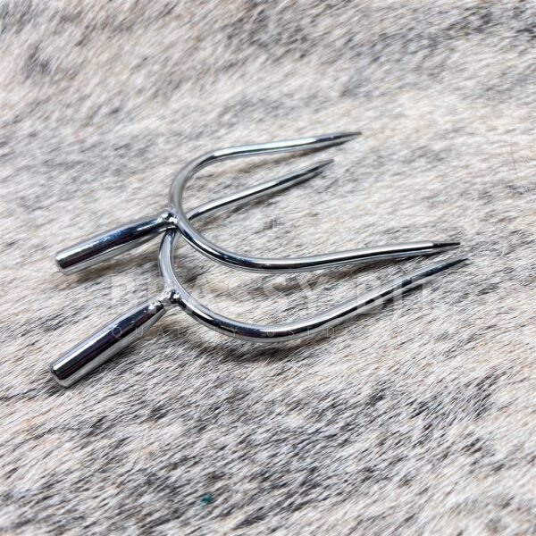 Prince of Wales English Spurs