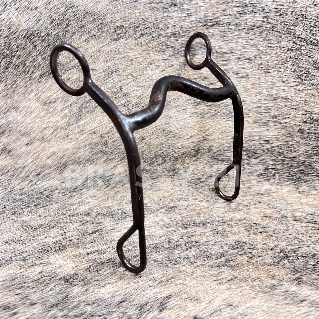 5″ Bob Blackwood BB Western Curb Bit – Brassy Bit Tack
