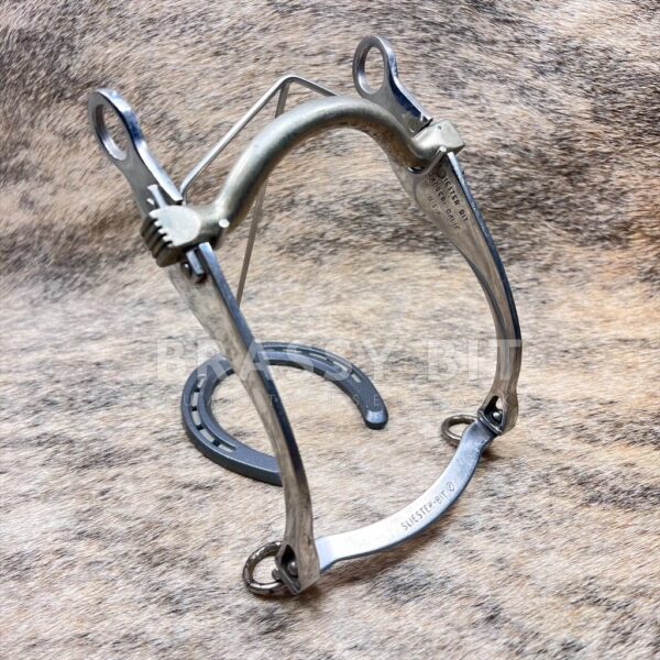 5" Sliester Sweetwater Mullen Curb Bit