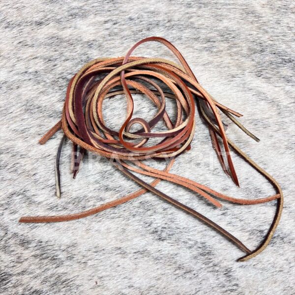 Brassy Bit Tack Leather Repair Strings Bundle
