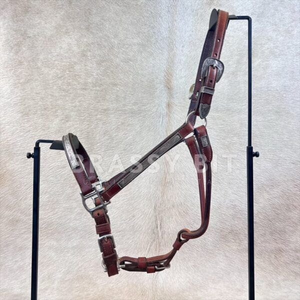Champion Turf Vintage Sterling Silver Show Halter