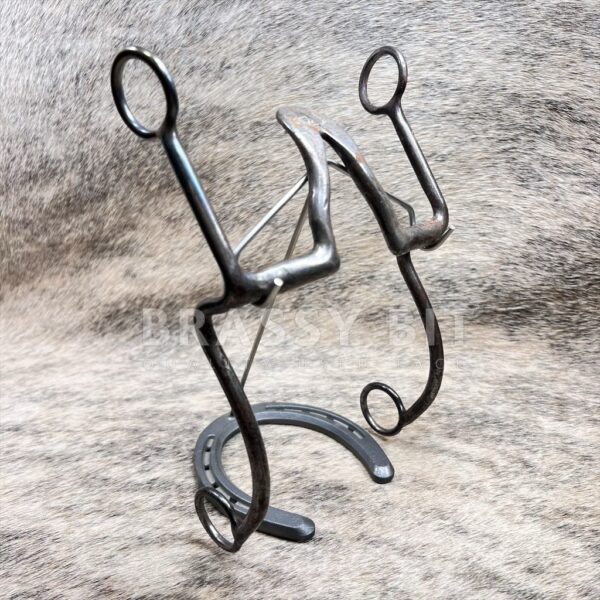 5" Paul Lamb Custom High Port Cathedral Curb Bit