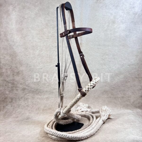 Western Training Bosal Set