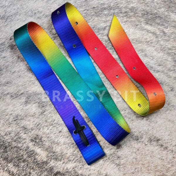 Rainbow Nylon Cinch Latigo