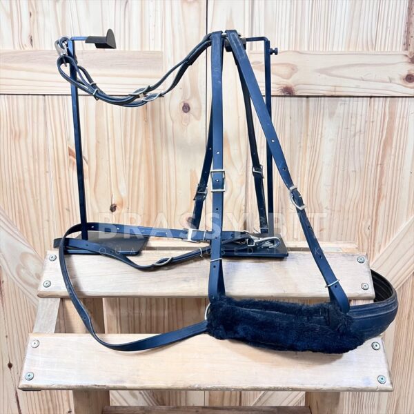 Beta Biothane Saddle Breeching