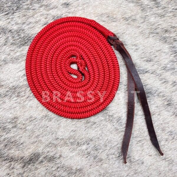 7’ Brassy Bit Tack Clinician Training Stick String or Catch Rope