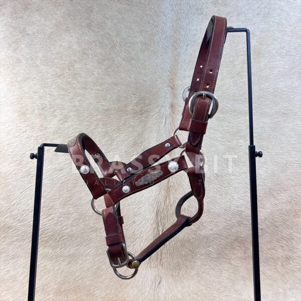 Large Yearling Vintage Silver Show Halter