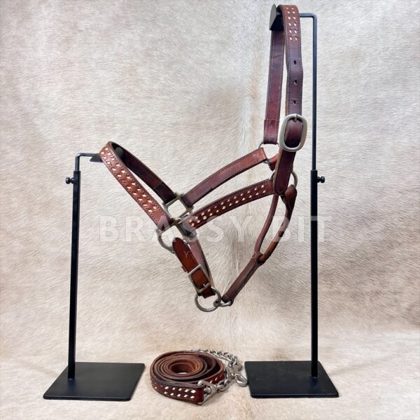 H/S Leather Buck-Stitched Halter w/ Lead
