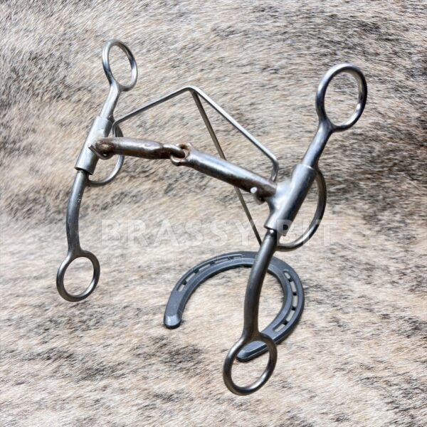 5" Reinsman Double Five DL Curb Bit