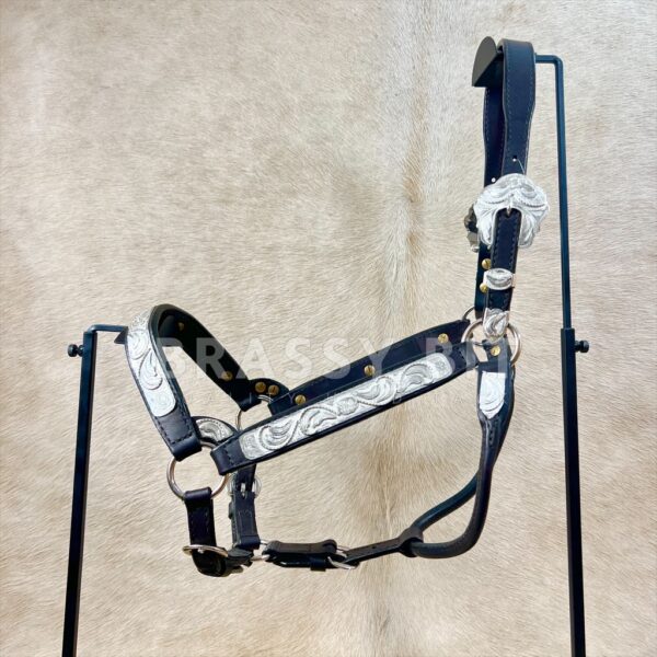 Dale Chavez Congress Style Silver Show Halter