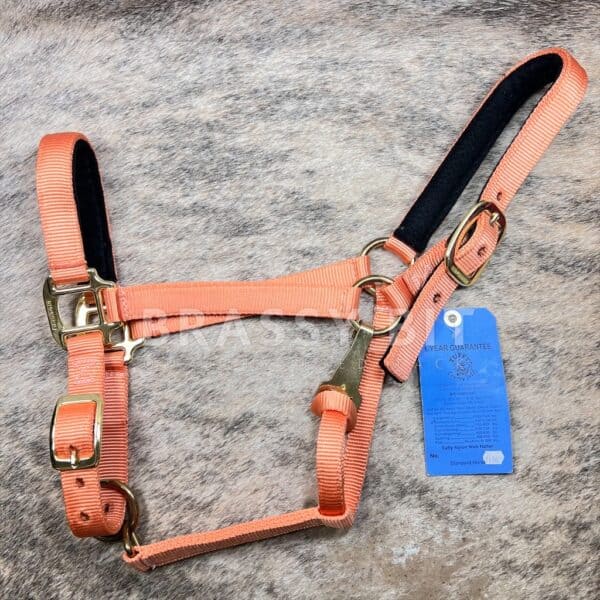 H/S Big Horn Tuffy Heavy Duty Padded Horse Halter