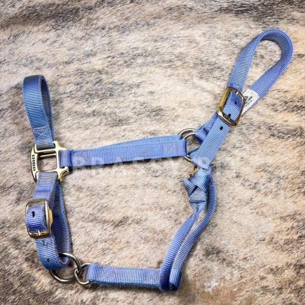 Weaver Large Horse Halter